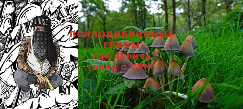 наркота  Абаза  Галлюциногенные грибы Magic Shrooms 